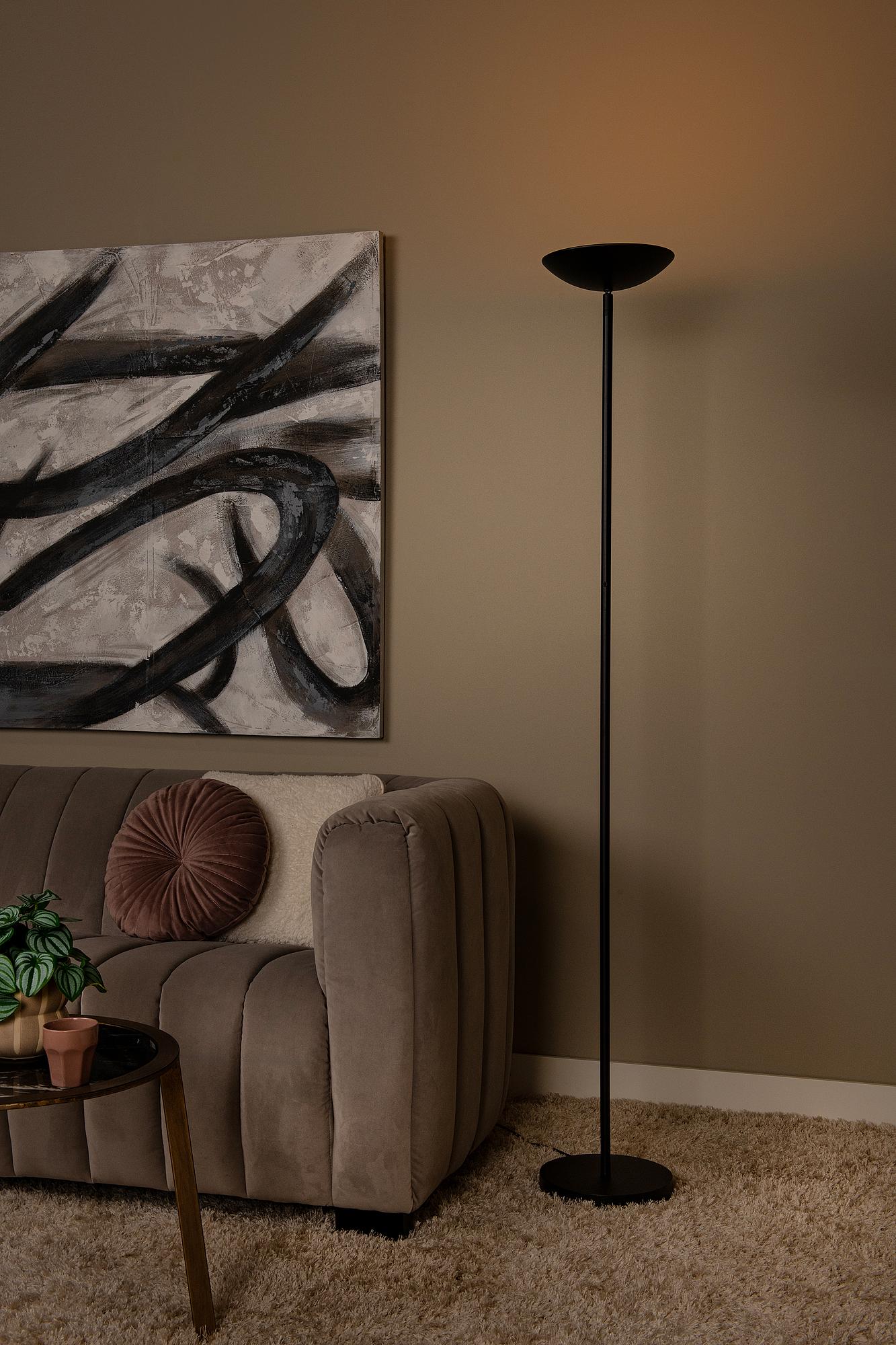 Zenith Type B LED floor lamp Iron Black 2