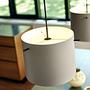 FM 1954 Pendant Lamp Matte Gray Ø28cm 2