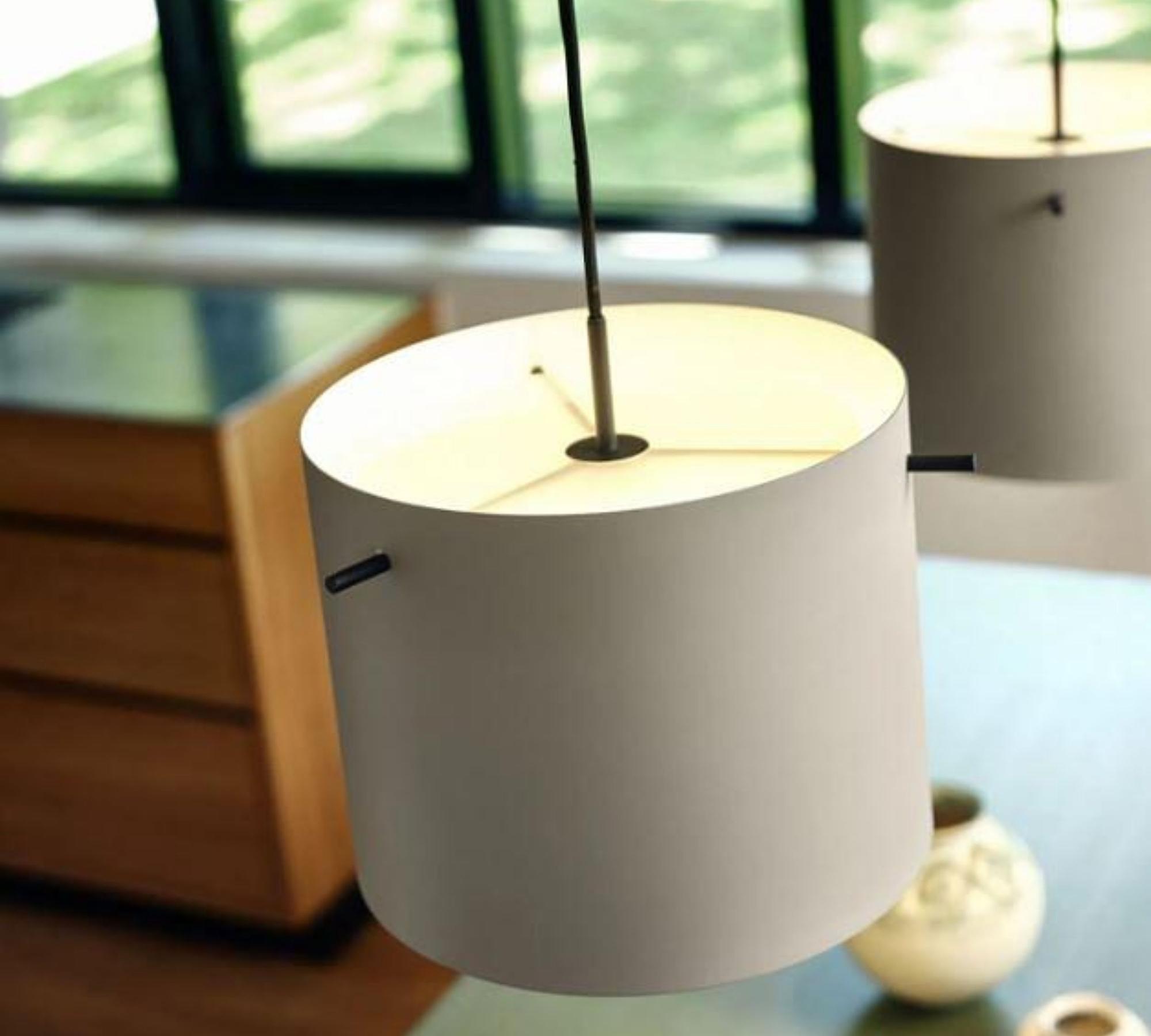 FM 1954 Pendant Lamp Matte Gray Ø28cm 2