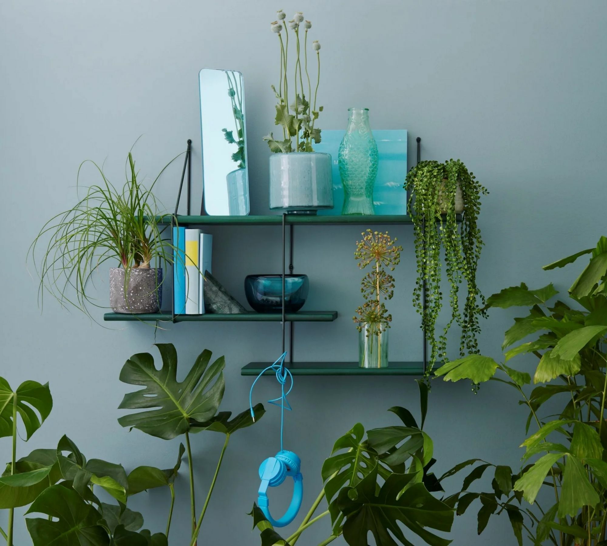 Shrink Regal Buchenholz Stahl Grün 0