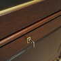 Mahogany Vitrine 1970 Jahre 6