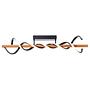 LED Ceiling Light Amalia 1-Light Iron Pine Black 3