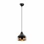 Pendelleuchte 1-flammig Glas Metall Schwarz Gold 2