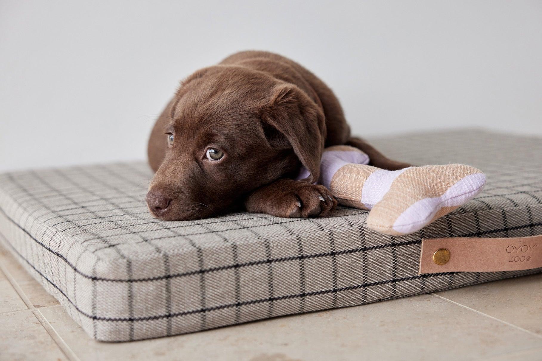 Ashi Hundespielzeug Polyester Recycelt Mehrfarbig 3