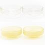 4x Schale Glas Gelb Transparent  1