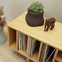 D-S19 Vinylschrank Eichenfurnier 4