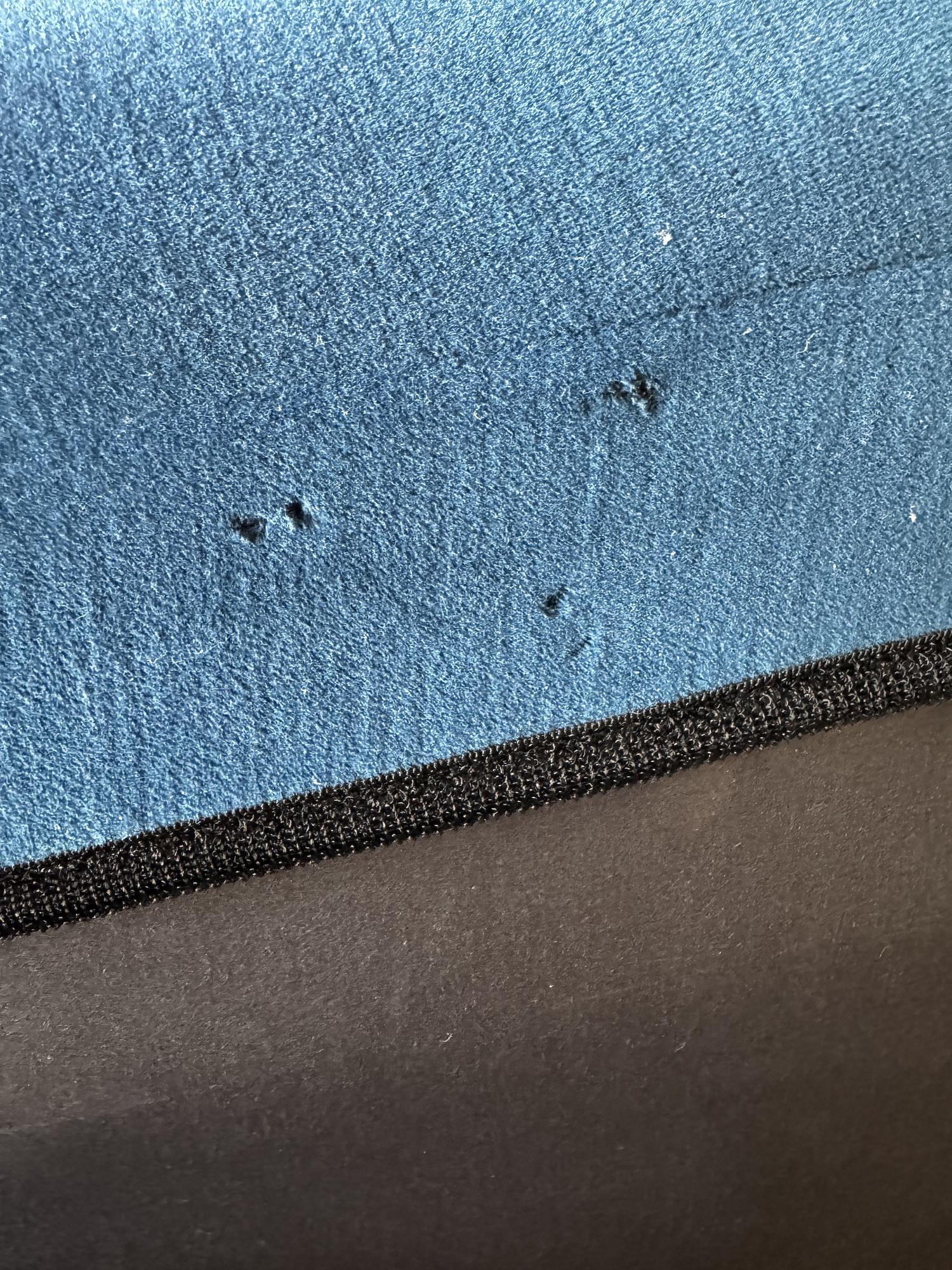 Ploum Sofa von Ligne Roset 5