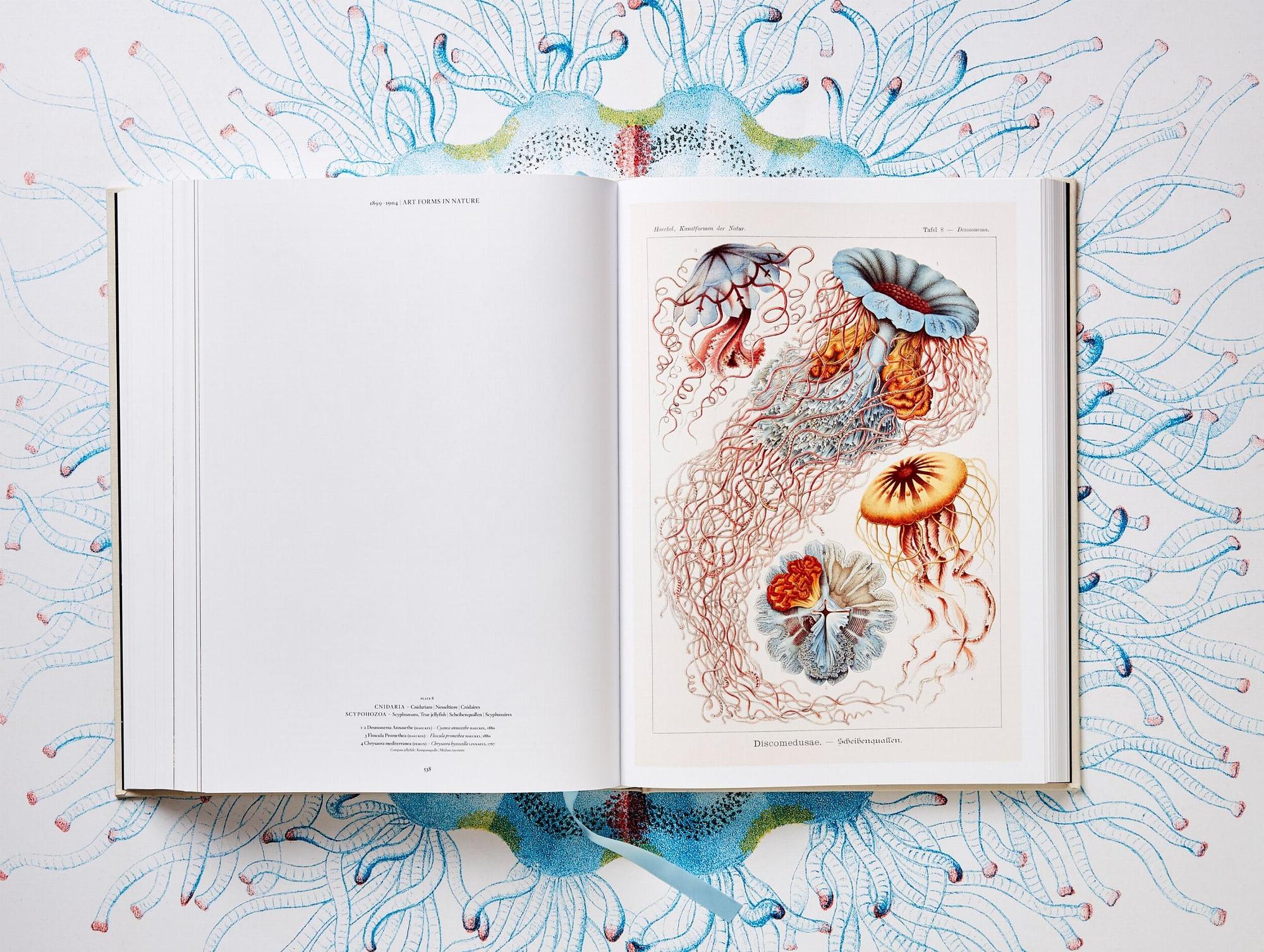 The Art and Science of Ernst Haeckel 9