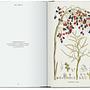 Martius. The Book of Palms. 45th Ed. 6