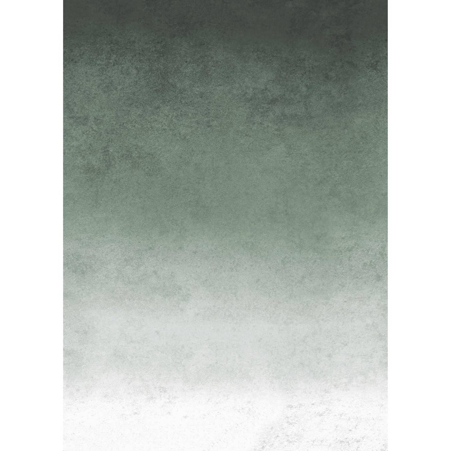 Vlies Fototapete Fading Grun Vlies Grün 1