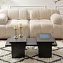 Sanctuary Coffee Table Black 1