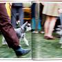 Walter Chandoha. Dogs. Photographs 1941–1991 9