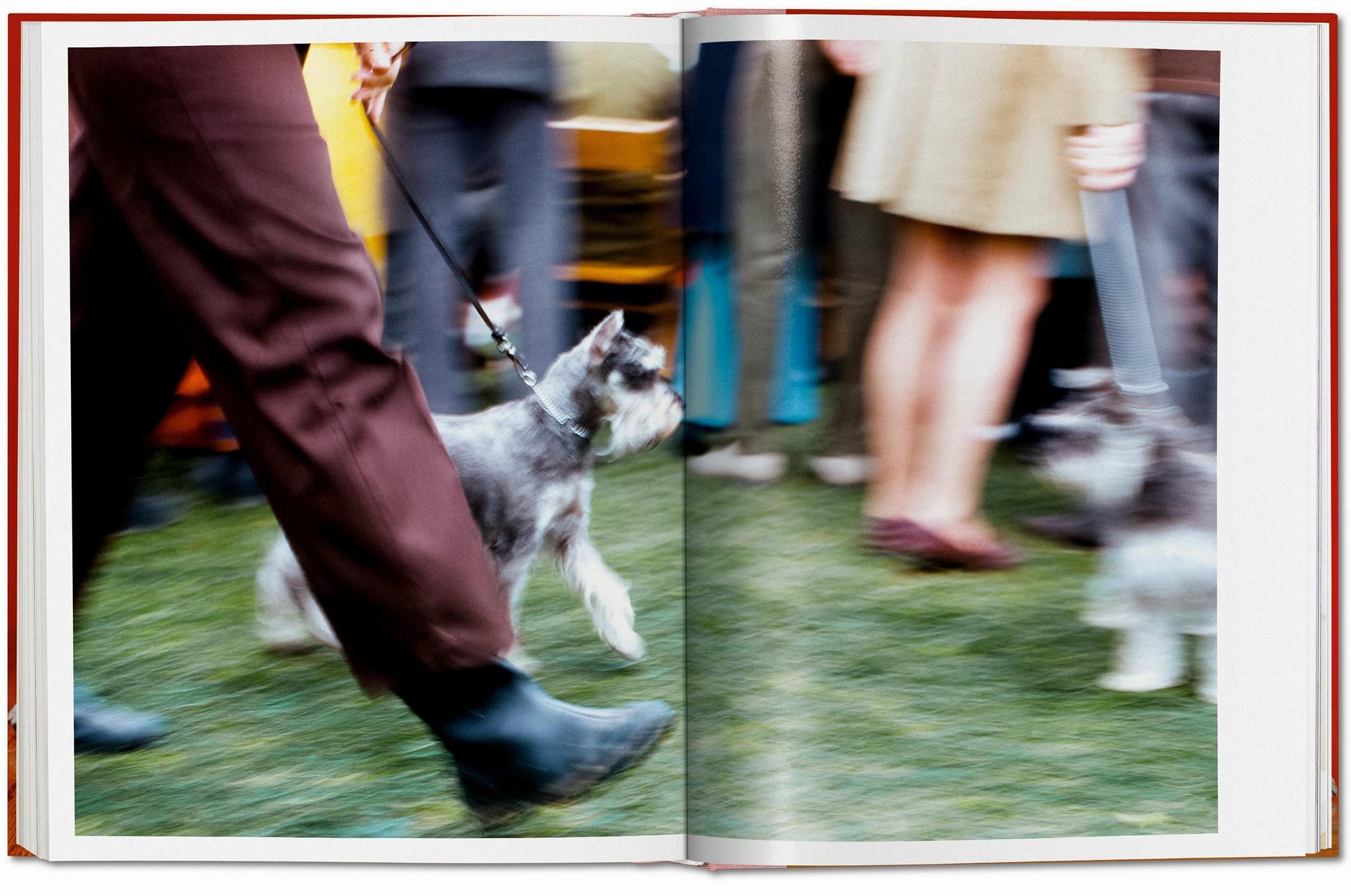 Walter Chandoha. Dogs. Photographs 1941–1991 9