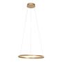 Ringlux Pendant Lamp Aluminum Gold 30 cm 2