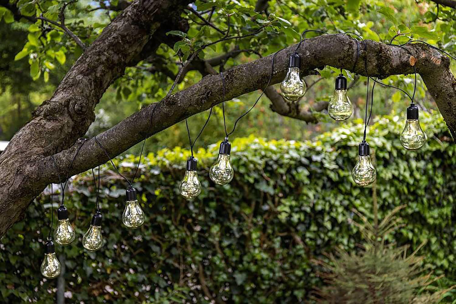 Lichterkette Libisa Typ B 10-Flammig Schwarz 3