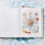 The Art and Science of Ernst Haeckel 6