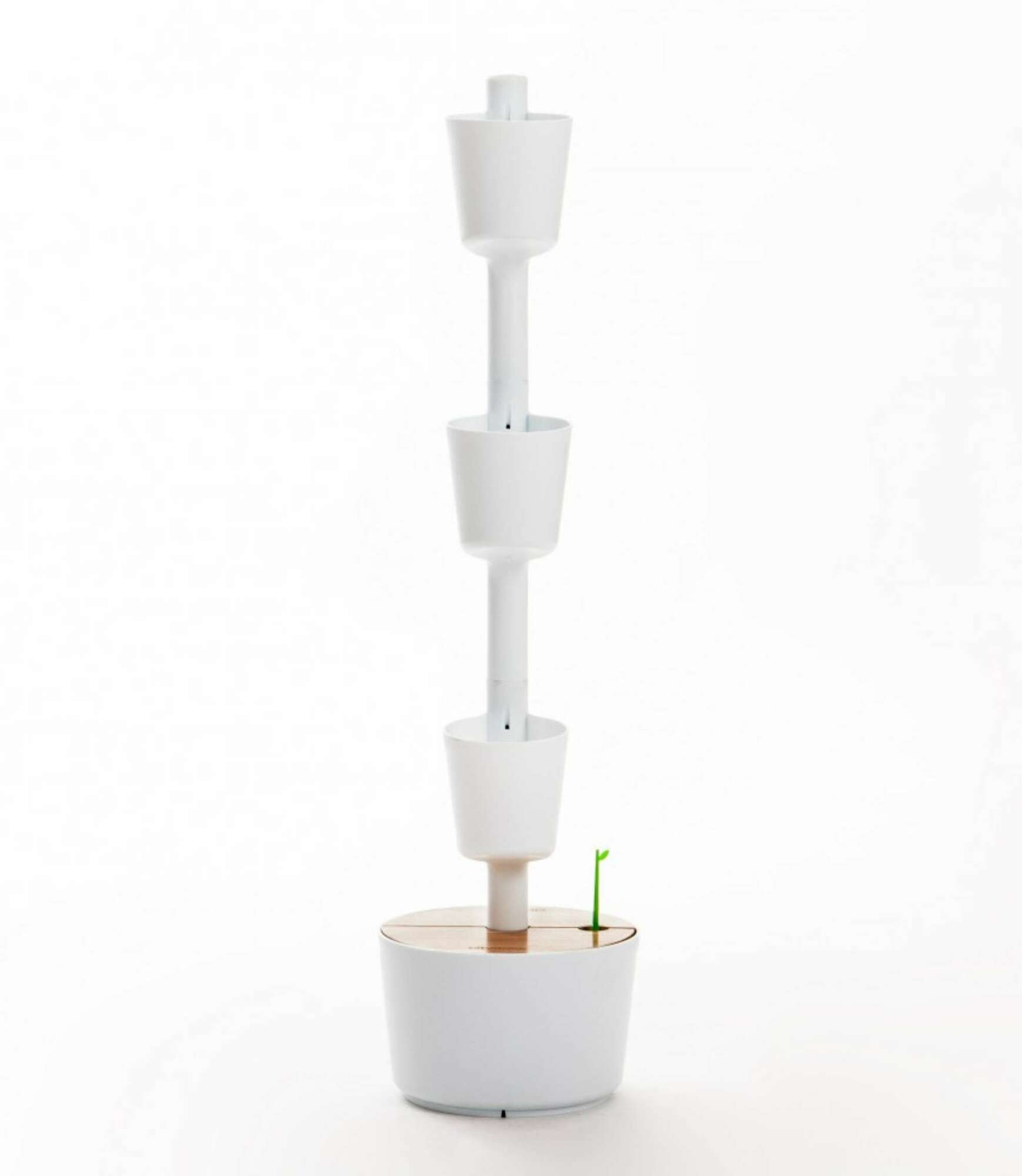 Design Award: Pine wood planting system Automatic irrigation 1