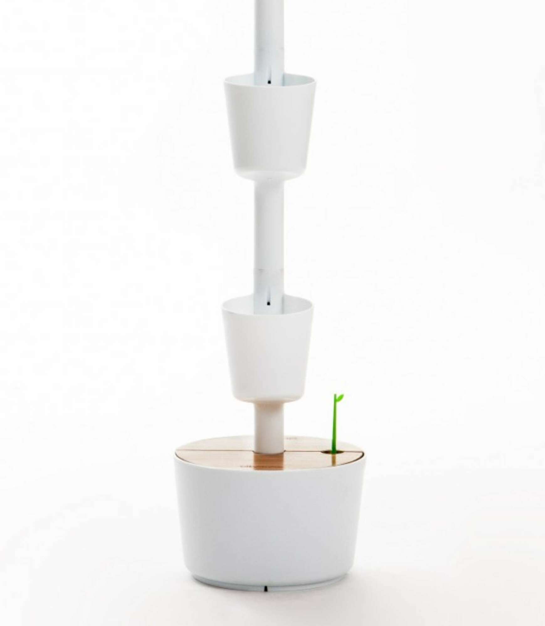 Design Award: Pine wood planting system Automatic irrigation 2