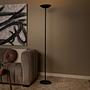 Zenith Type B LED floor lamp Iron Black 0