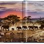 Stephen Wilkes. Day to Night 8