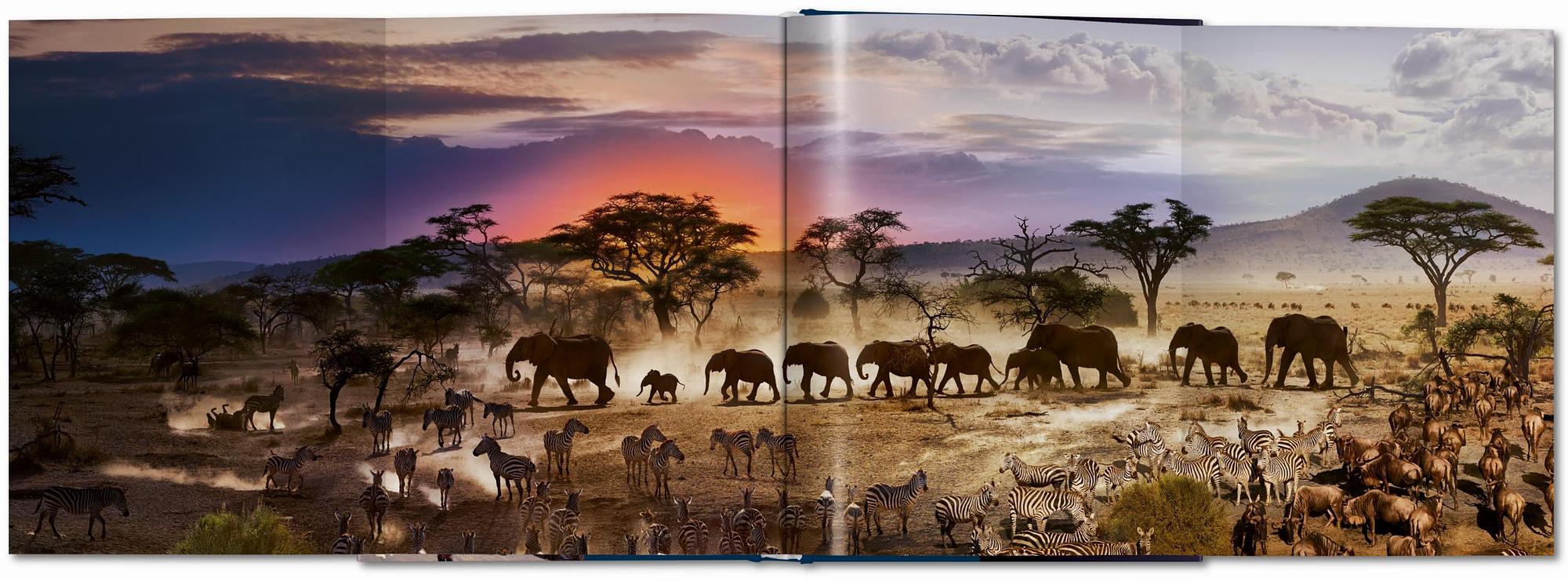 Stephen Wilkes. Day to Night 8