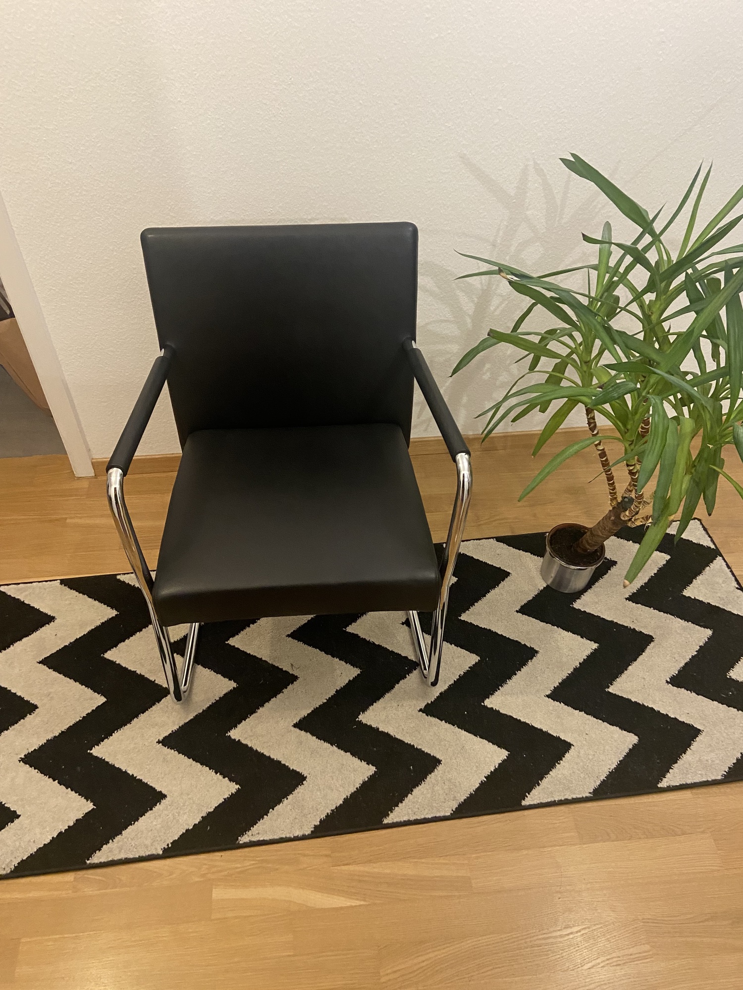 12x Jason 1500 Freischwinger Walter Knoll Leder Schwarz 0