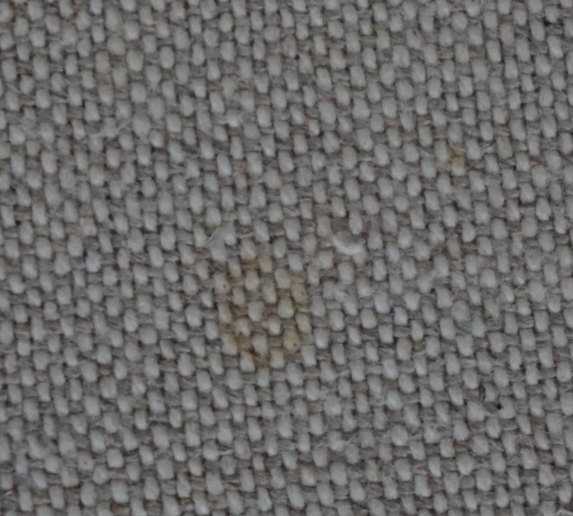 Daphne Modul 1-Sitzer Rechts Fratello Beige 9