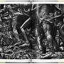 Sebastião Salgado. Gold 5