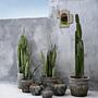 Funky Vase Grau 3