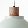 Pendant Light Erena 1-Light Iron Green 3