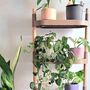 Modular plant stand with 4 shelves Brown 3