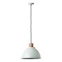 Pendant Light Erena 1-Light Iron Green 1