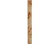 Mota Burl Wood Runder Beistelltisch 3