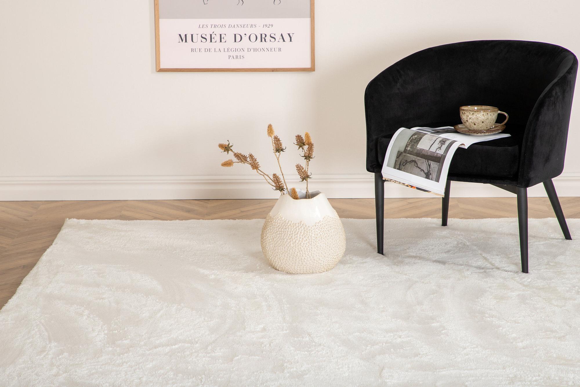 Blanca Rug White 160x230cm 3