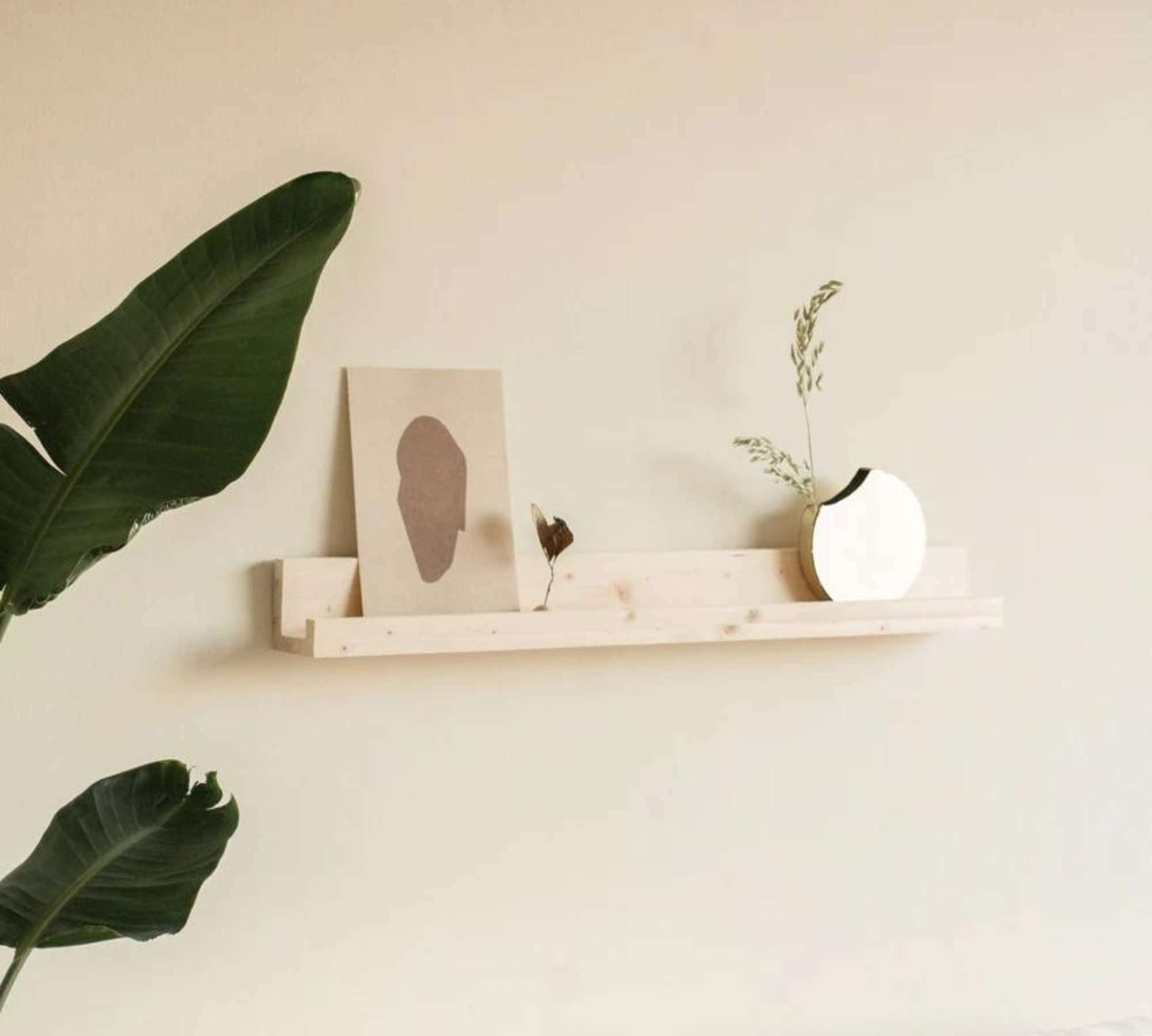 Jaha Regal Fichtenholz Kiefer 0