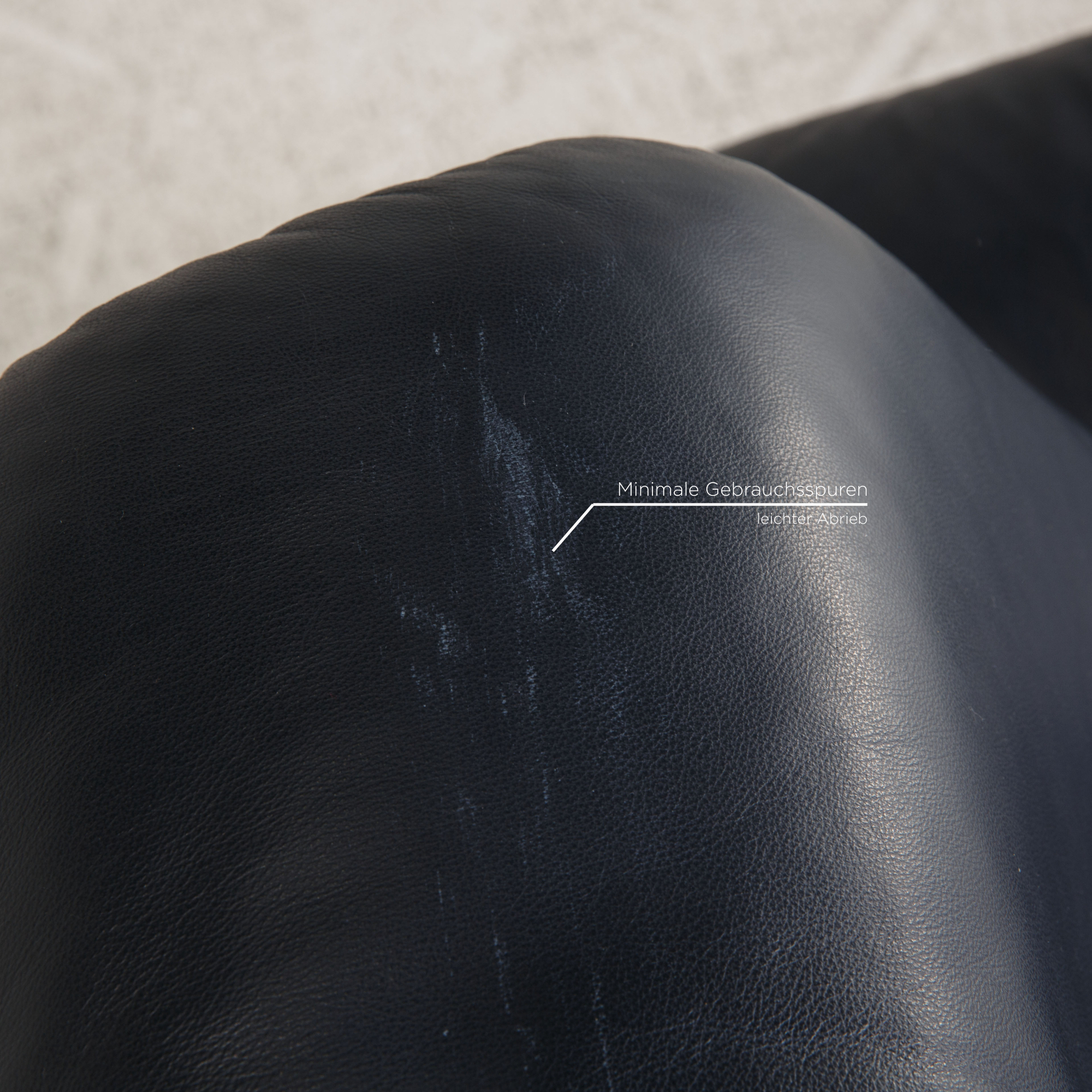 Paradise Sofa 2-Sitzer Leder Dunkelblau 5