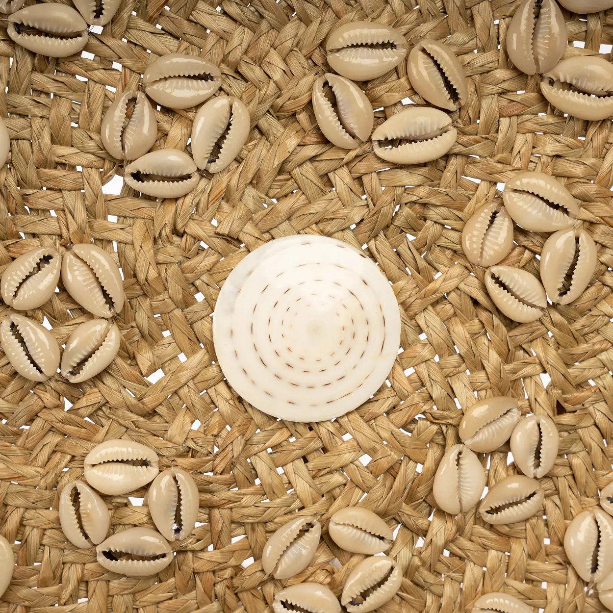 Caribe Shell Plate Beige 5