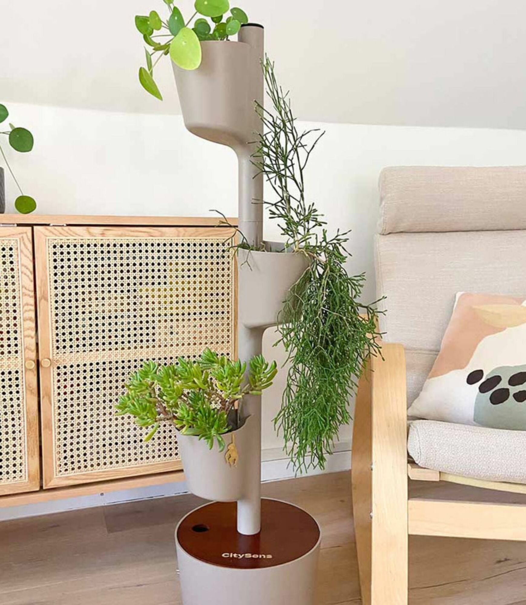 Design Award: Plant system Teak wood Autom. Irrigation 2