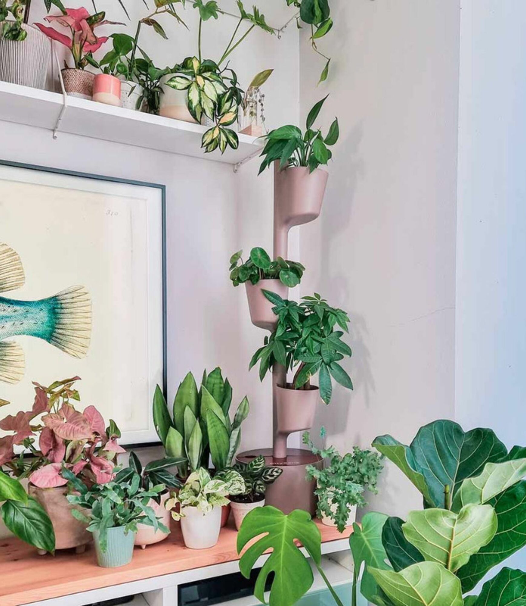 Design Award: Plant system Teak wood Autom. Irrigation 3