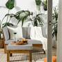 Loungesessel Akazie Massiv Taupe 6