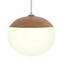 1-Light Menty Type B Pendant Light Opal Glass Iron 0