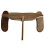 Winigan Coffee Table Mango Solid Natural 1