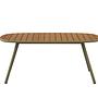 Niublau Garden Table 6-Seater Plastic Brown 180x90x75 cm 0
