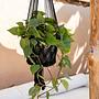 Macrame Plant Hanger Black 3