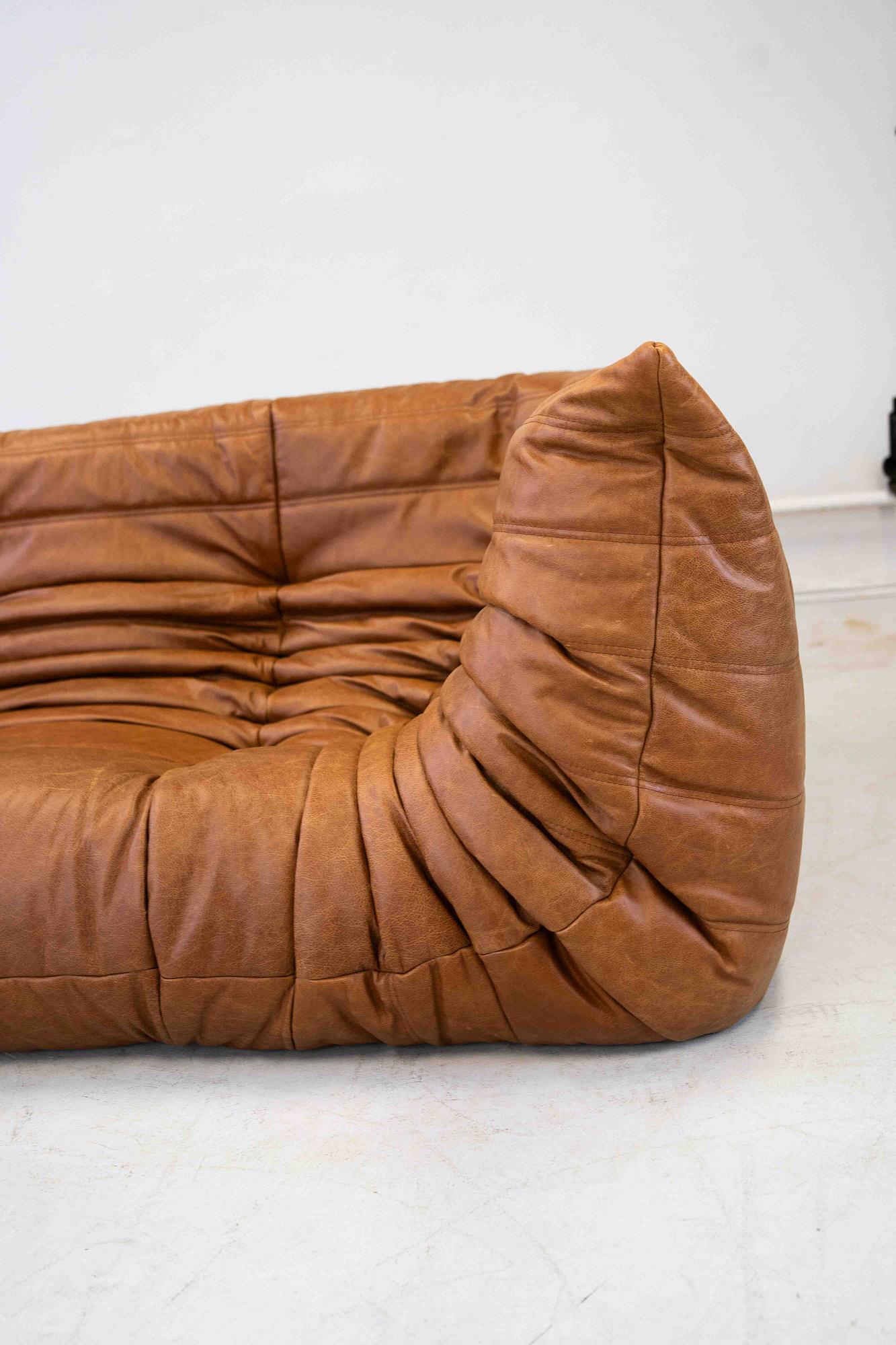 Togo Sofa 2-seater with Armrest Pull-Up Leather Pine Brown 5