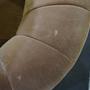 Loafer SC23 Sessel Samt Marron 3