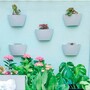 3x Wall planter with self-watering Grey 1