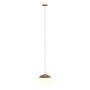 1-Light Menty Type B Pendant Light Opal Glass Iron 1