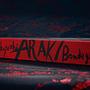 Araki. Bondage 2