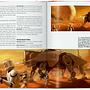 Das Star Wars Archiv. 1999–2005. 40th Ed. 6